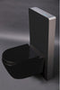 WC compleet pakket 33: WC B-8030R Zwart