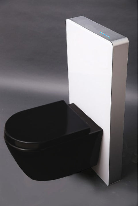 WC-Komplettpaket 39:  WC B-8030R Schwarz Matt