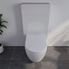 Ensemble complet - WC suspendu NT2039 Blanc avec siège Soft-Close & module sanitaire 805S Blanc