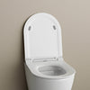 Flacher WC-Deckel Softclose