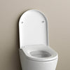 Soft-close WC lid WC seat Replacement lid U1002