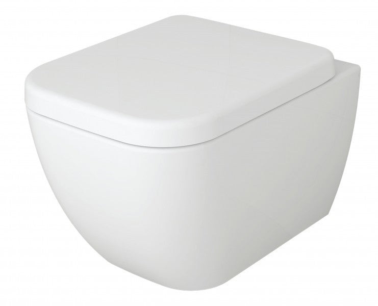 Wall-hung WC washdown - flangless bowl 101R