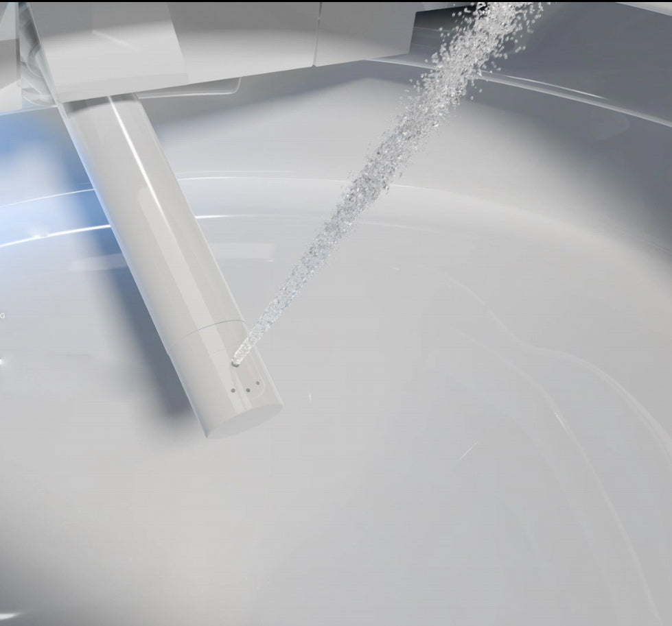 Ensemble complet WC douche 540 PRO avec élément de pré-mur Geberit Duofix