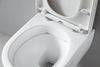 Ensemble complet - WC suspendu NT2039 Blanc avec siège Soft-Close et module sanitaire 805S Noir