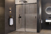 Porte de douche en niche coulissante NT806 FLEX Noir mat