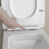 Softclose flat toilet lid