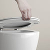 Softclose flat toilet lid