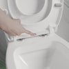 Softclose WC lid