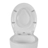 Softclose WC lid